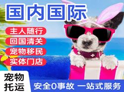 玉龙航空快运国际宠物托运 【国